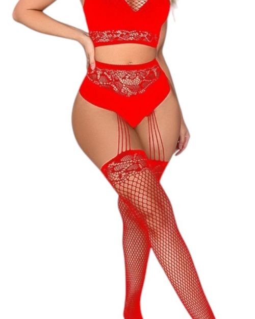 Conjunto En Red Con Medias/lencería